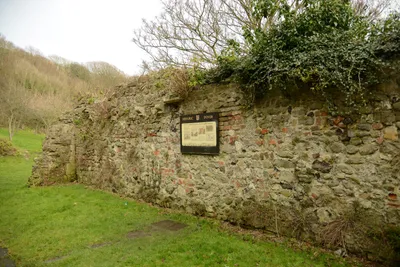 DSC_1333 (Large).JPG